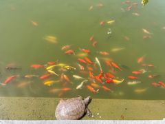 -报恩禅寺