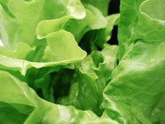 -川香煲(茅台路店)