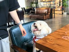 -百好乐宠物友好餐厅(朝外大街店)