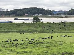 -明月山天沐温泉度假村