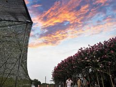 -武汉紫薇都市田园