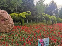 -长白岛森林公园