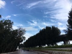 -宝安西湾红树林湿地公园