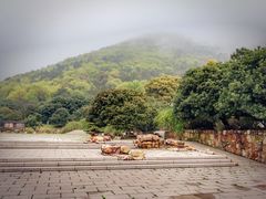 -宝岩生态观光园