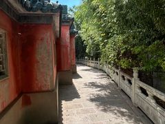 -焦山景区-万佛塔