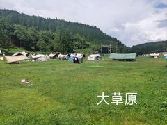-武陵山森林公园