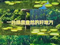 -上海滨江森林公园