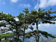 -黄山风景区
