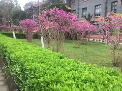 -四川大学(华西校区)