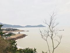 -枣子树·素食餐厅(普陀山店)