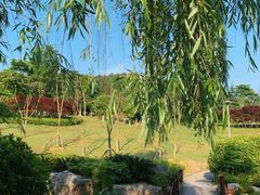 -铁山坪森林公园