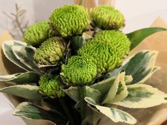 -植物学家的女儿(北马道巷店)