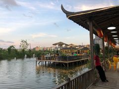 -一煲鸽