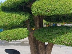 -济南大明湖景区