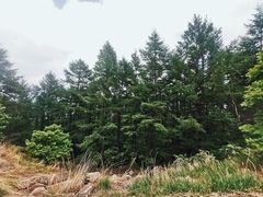 -白草畔自然风景区