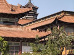 -高旻寺