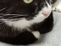 -桃喜·私人订制蛋糕店