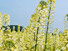 -中国天府农业博览园