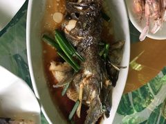 -四姑娘川味海鲜(八爪鱼店)