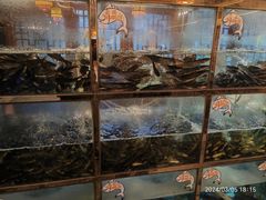 -三道苗苗鱼·美蛙黄辣丁(八里店)