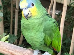 -南宫五洲植物乐园