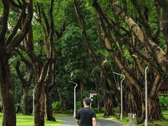 -人民公园(罗湖区)