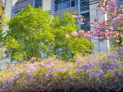 -浙江大学(紫金港校区)