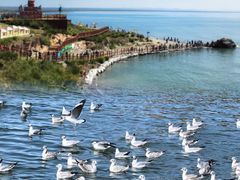 -青海湖国家重点风景名胜区