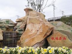 -枫林花海