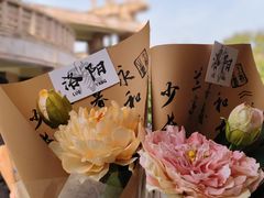-洛阳白马寺