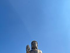 -龙口南山旅游景区