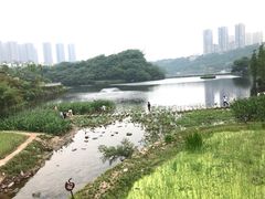 -重庆彩云湖湿地公园