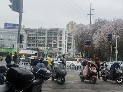 -西环肥仔螺蛳粉(总店)