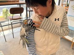 -吉丁鸟咖·异宠·寄养