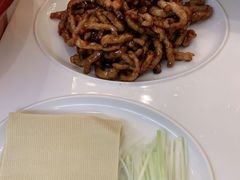 -大鸭梨烤鸭店(花园村店)