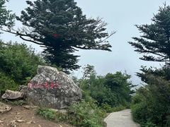 -牛背梁国家森林公园