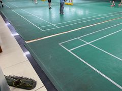 -东坡羽毛球馆(东坡南一路店)