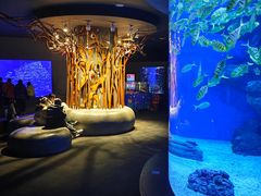 -成都浩海立方海洋公园