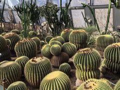 -北京植物园-展览温室