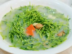 上汤豆苗-有腥气私房菜·寻味顺德