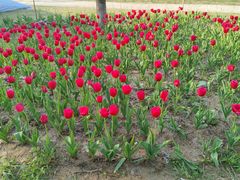 -祥源·阜阳生态乐园