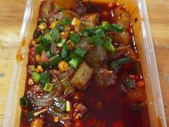 -爪爪西施
