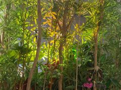 -施奈儿.洗头頭療.按摩SPA.采耳(上梅林店)
