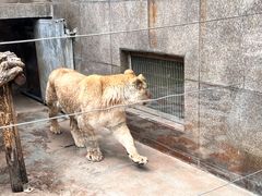 -西安秦岭野生动物园