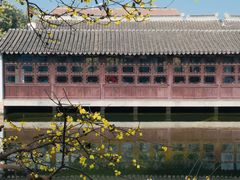 -拙政园
