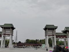 -王借岗森林公园