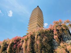 -崇圣寺三塔文化旅游区