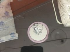 -鲨鱼皮汽车凹陷玻璃修复(静安店)