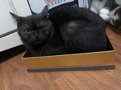 -美联众合动物医院·24h转诊中心