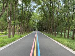 -同里国家湿地公园